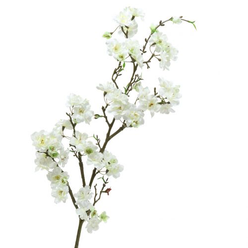 Floristik24 Kirsikankukkien oksa Valkoinen 105cm