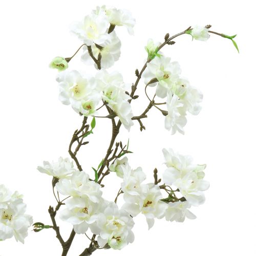 Floristik24 Kirsikankukkien oksa Valkoinen 105cm