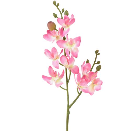kohteita Pieni orkidea Phalaenopsis tekokukka vaaleanpunainen 30cm