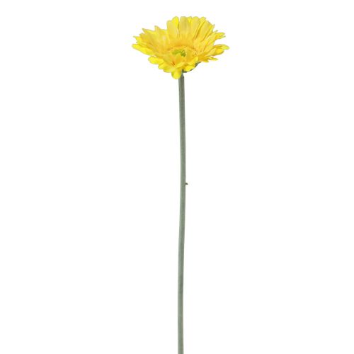 Floristik24 Tekokukat Gerbera keltainen 45cm