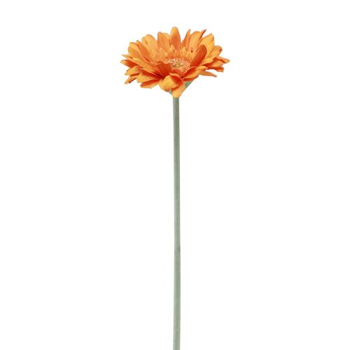 Floristik24 Tekokukat Gerbera Orange 45cm
