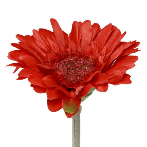 Floristik24 Tekokukat Gerbera Red 45cm