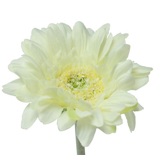 Floristik24 Tekokukat Gerbera White 45cm