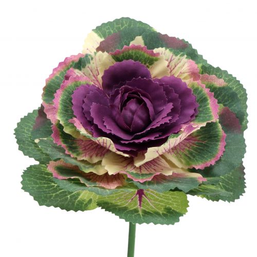 Floristik24 Keinotekoinen kaali violetti, vihreä 25cm 6kpl