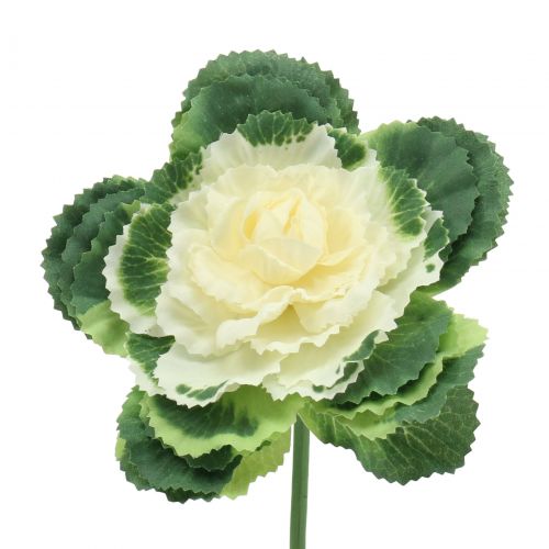 Floristik24 Keinotekoinen kaali valkoinen, vihreä 25cm 6kpl