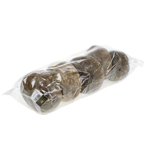 Floristik24 Kookospähkinän kuoret kiillotettu luonnollinen 5 kpl