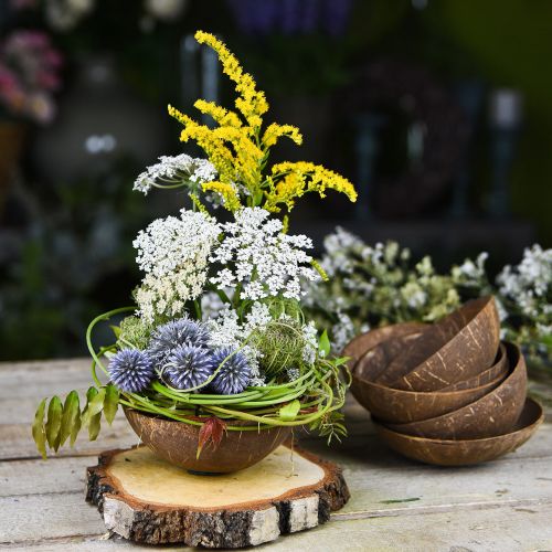 Floristik24 Kookoskoristekulho luonnonkiillotettu 6 kpl