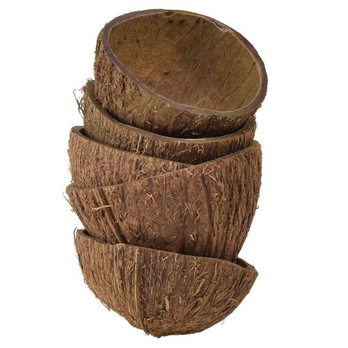 Kookoskulhon koristelu luonnon puoliskookospähkinöitä Ø7-9cm 5kpl