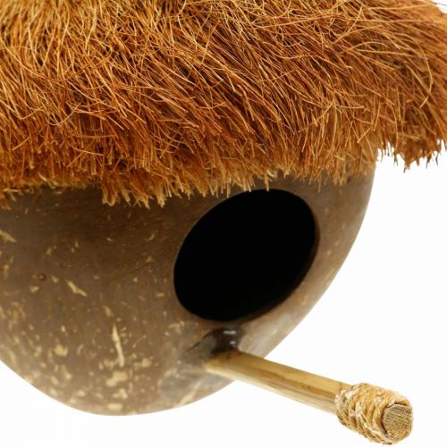 kohteita Kookospähkinä pesälaatikkona, linnunpönttö ripustettavaksi, kookospähkinä koriste Ø16cm L46cm