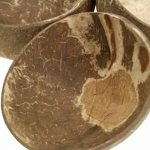 Floristik24 Kookoskoristekulho luonnonkiillotettu 6 kpl