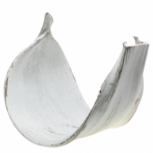 Floristik24 Kookospähkinän kuoren kookospähkinälehti pestään valkoisena