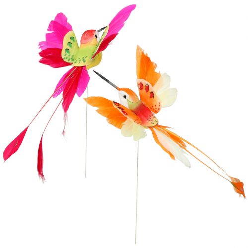 Floristik24 Kolibri lanka kiinni vaaleanpunainen, oranssi 17cm 6kpl