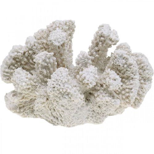 Floristik24 Merikoristelu korallinvalkoinen keinopolyresiini pieni 13,5x12 cm