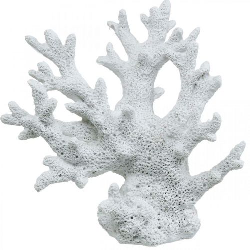 Floristik24 Merikoristelu korallinvalkoinen kesäkoristelu 14,5×14,5cm
