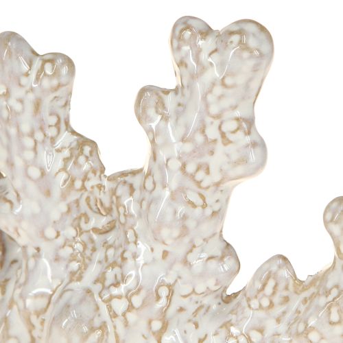 kohteita Korallikoristeet keraaminen merellinen pöytäkoristelu beige H14,5cm