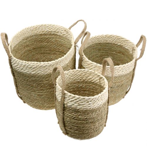 Floristik24 Sisal kori Ø37/30/25cm 3kpl