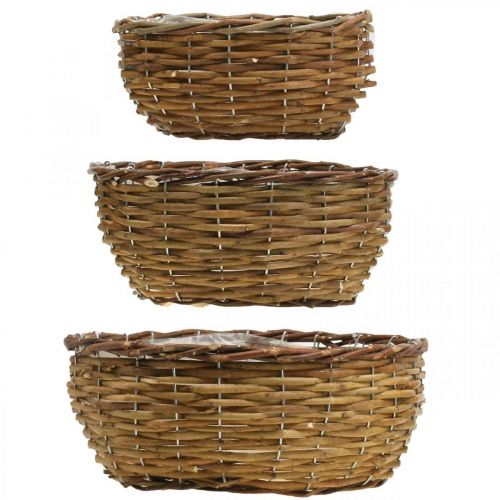Floristik24 Korikulho luonnonkasvikori kori pajukori Ø21,5/26/Ø31cm 3 kpl setti