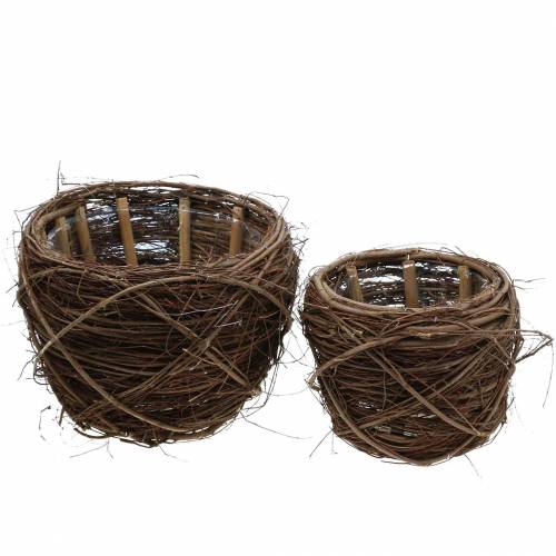 Floristik24 Kasvipaju paju luonnollinen väri Ø26 / 20cm H20 / 16cm 2 kpl