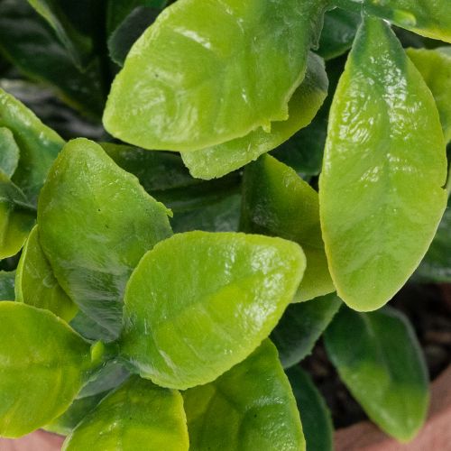 kohteita Tekokasvi kukkaruukussa, realistisella tekstuurilla sisäkäyttöön ja koristeeksi, 18 cm, 3 kpl