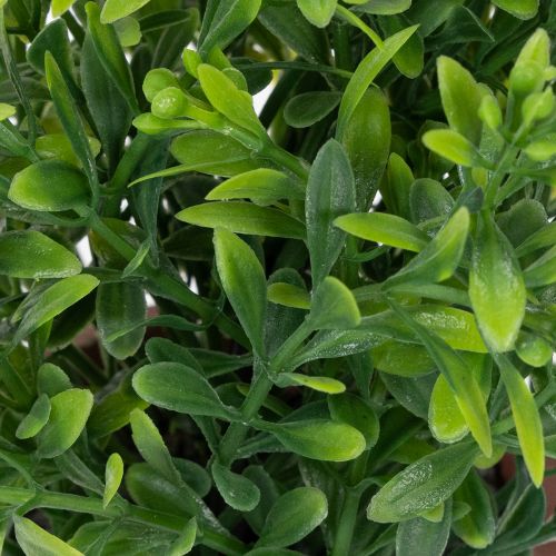 kohteita Tekokasvi kukkaruukussa, realistisella tekstuurilla sisäkäyttöön ja koristeeksi, 18 cm, 3 kpl