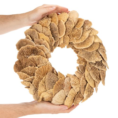 Puunsienikranssi, luonnonvärinen, oven tai seinän koristeeksi, 37 cm | Floristik24.fi