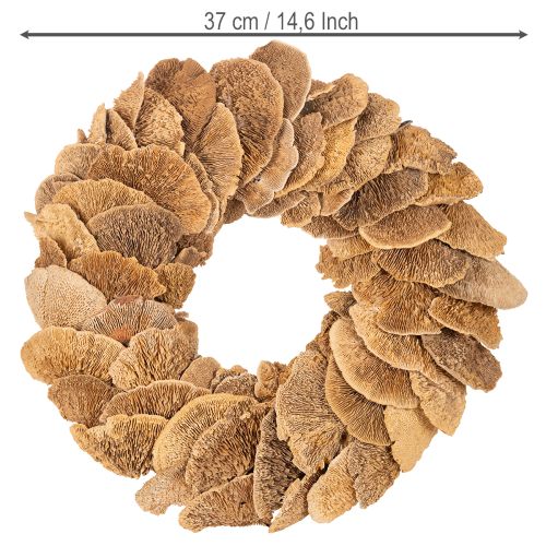 Puunsienikranssi, luonnonvärinen, oven tai seinän koristeeksi, 37 cm | Floristik24.fi
