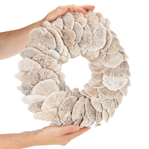 Kranssipuusieni luonnonkoriste 37cm | Floristik24.fi