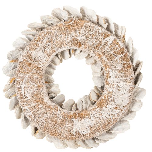 Kranssipuusieni luonnonkoriste 37cm | Floristik24.fi