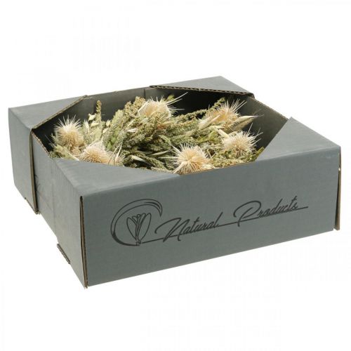 Floristik24 Kuivatut kukkaseppeleet ohdakkeista, ruohonjyvistä Ø28cm