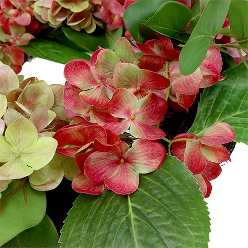 Floristik24 Seppele hydrangeas Ø60cm vihreä, vaaleanpunainen 1p