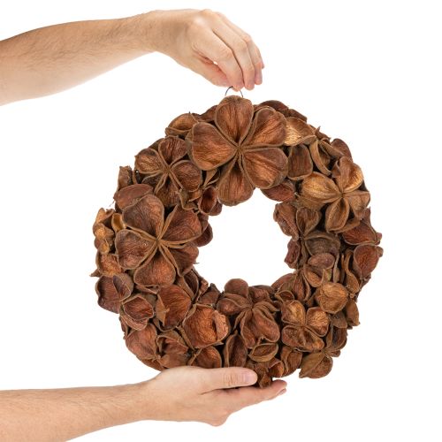 Kuivattu lootusseppele, koristeellinen oviseppele, 35cm | Floristik24.fi