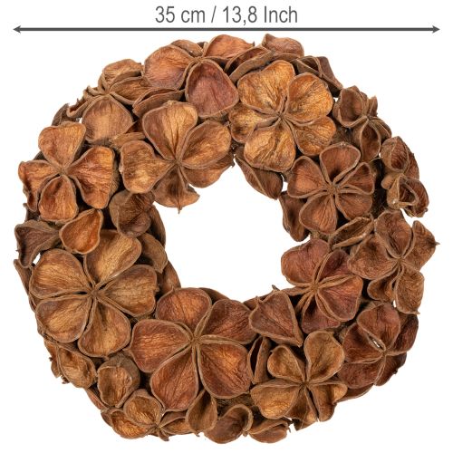 Kuivattu lootusseppele, koristeellinen oviseppele, 35cm | Floristik24.fi