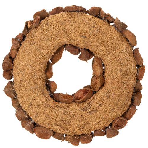 Kuivattu lootusseppele, koristeellinen oviseppele, 35cm | Floristik24.fi