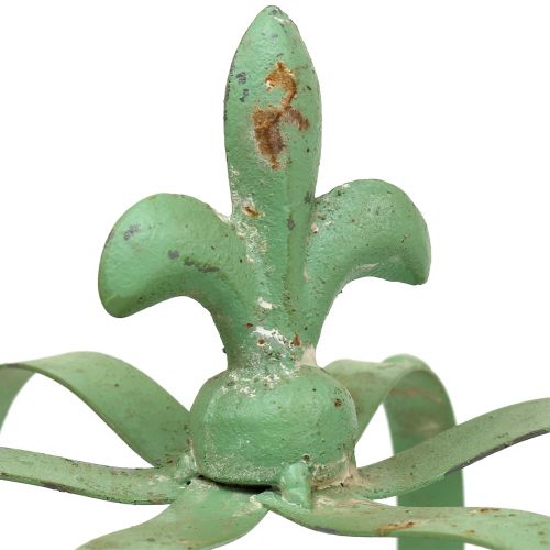 Floristik24 Kruununsinkki Ø19cm K23cm Vihreä