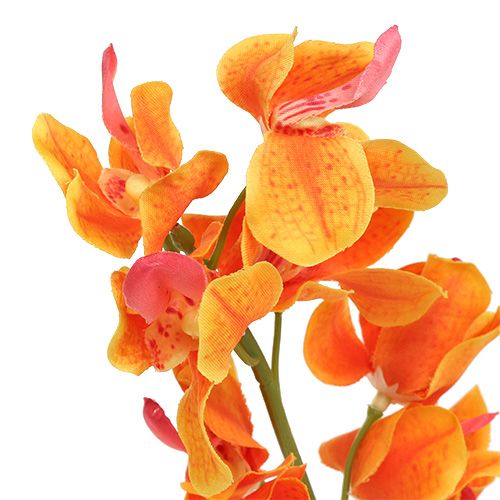 kohteita Keinotekoinen orkidea Mokara Orange 50cm 6kpl