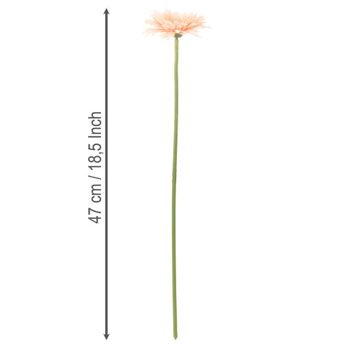 Keinotekoiset gerberat aprikoosi 47 cm 6 kpl | Floristik24.fi