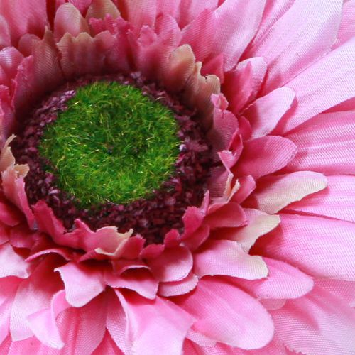 kohteita Tekokukat Gerbera Garden Tekokukat Pinkki 47cm