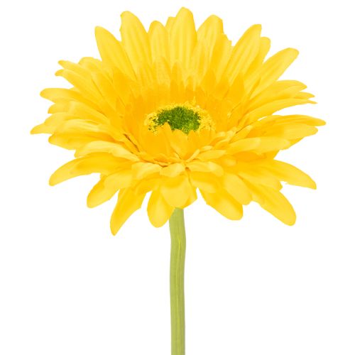 Keinotekoiset Gerbera-kukat, Aurinkokeltaiset, Puutarhakukka, 47 cm, 6 kpl ostaa | Floristik24.fi