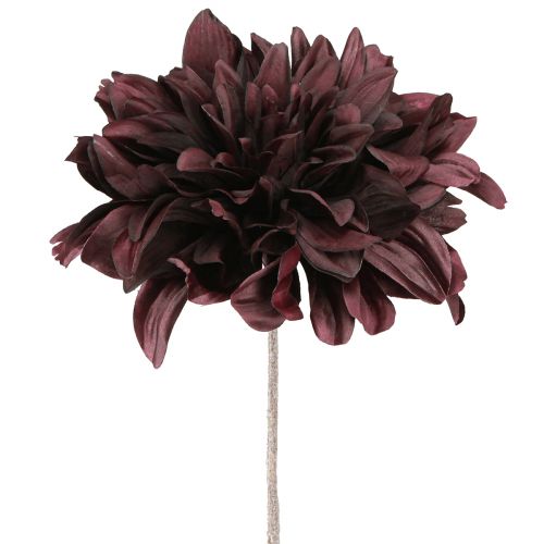 Keinotekoinen dahlia suurilla kukilla viininpunaisena L58cm