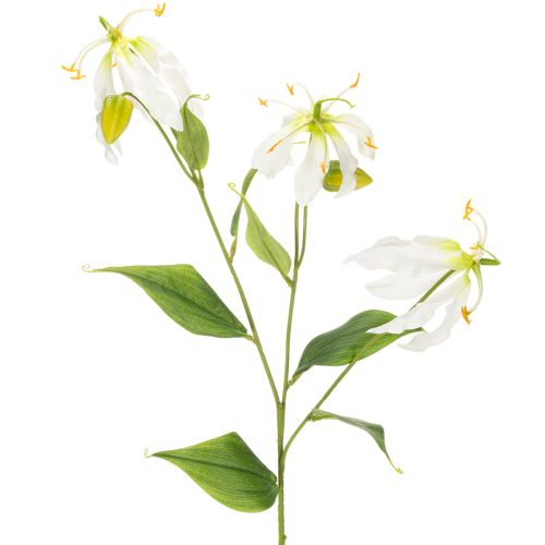 Tekokukka Gloriosa, valkoinen ja keltainen, elegantti kukkiva oksa koristeeksi, 80 cm, 3 kpl ostaa | Floristik24.fi