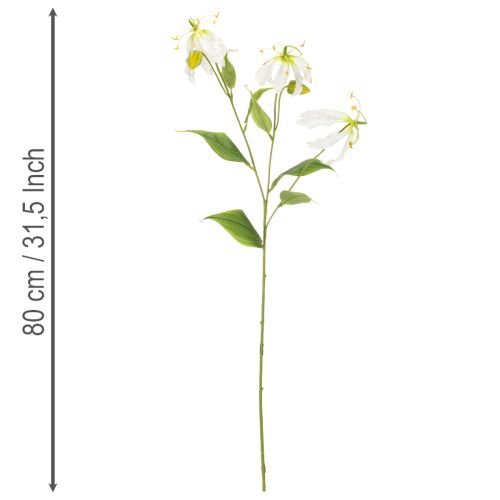 Tekokukka Gloriosa, valkoinen ja keltainen, elegantti kukkiva oksa koristeeksi, 80 cm, 3 kpl | Floristik24.fi