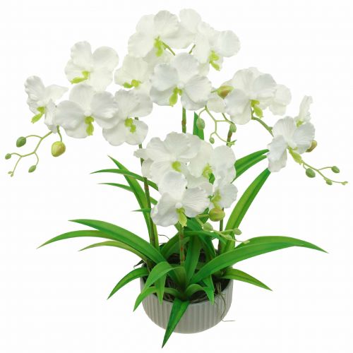 Floristik24 Tekoorkideat tekokukat ruukussa valkoinen 60cm