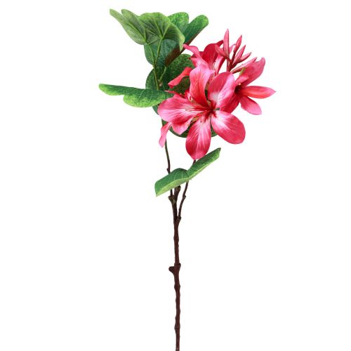 Floristik24 Keinotekoinen orkidean oksa Bauhinia Pink tekokasvi 62cm