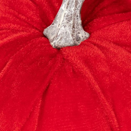 Kangaskurpitsa pöytäkoristeeksi, syyskoriste, 13 cm, 3 kpl | Floristik24.fi