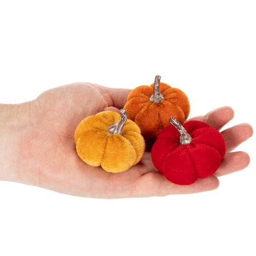 Koristeellinen kurpitsasetti sametista, kolmessa värissä, minikurpitsat 5 cm, 12 kpl | Floristik24.fi