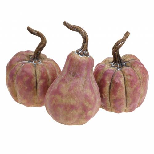 Minikurpitsasetti oranssi, lila Ø6,5-7cm 6 kpl