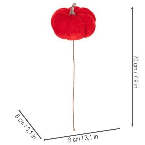 Koristeellinen kurpitsa langalla, syyskoriste, sametti, kolmivärinen setti, 8 cm, 9 palaa | Floristik24.fi