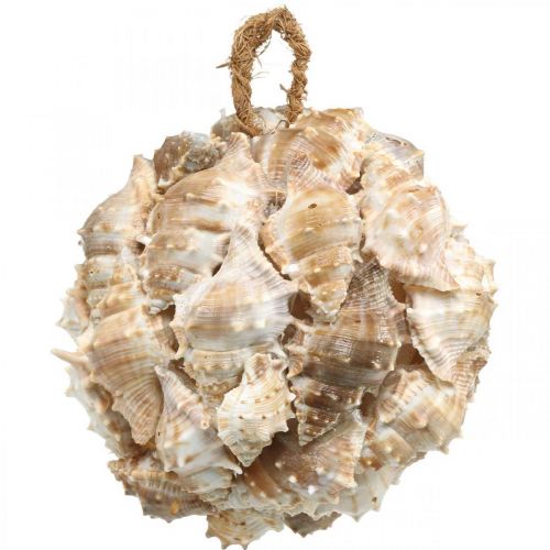 Deco pallo etanankuoret kuoret deco riippuva luonto Ø12cm