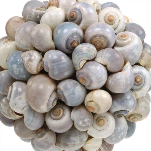 kohteita Koristeellinen pallo merikotiloita simpukankuoripallo luonnonkoriste merellinen Ø19cm