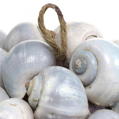kohteita Koristeellinen pallo merikotiloita simpukankuoripallo luonnonkoriste merellinen Ø19cm